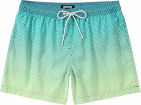5 Inch Inseam Swimming Shorts Mens Gradient Swim Trunks with Mesh Liner Bathing Suit for Men Vacation