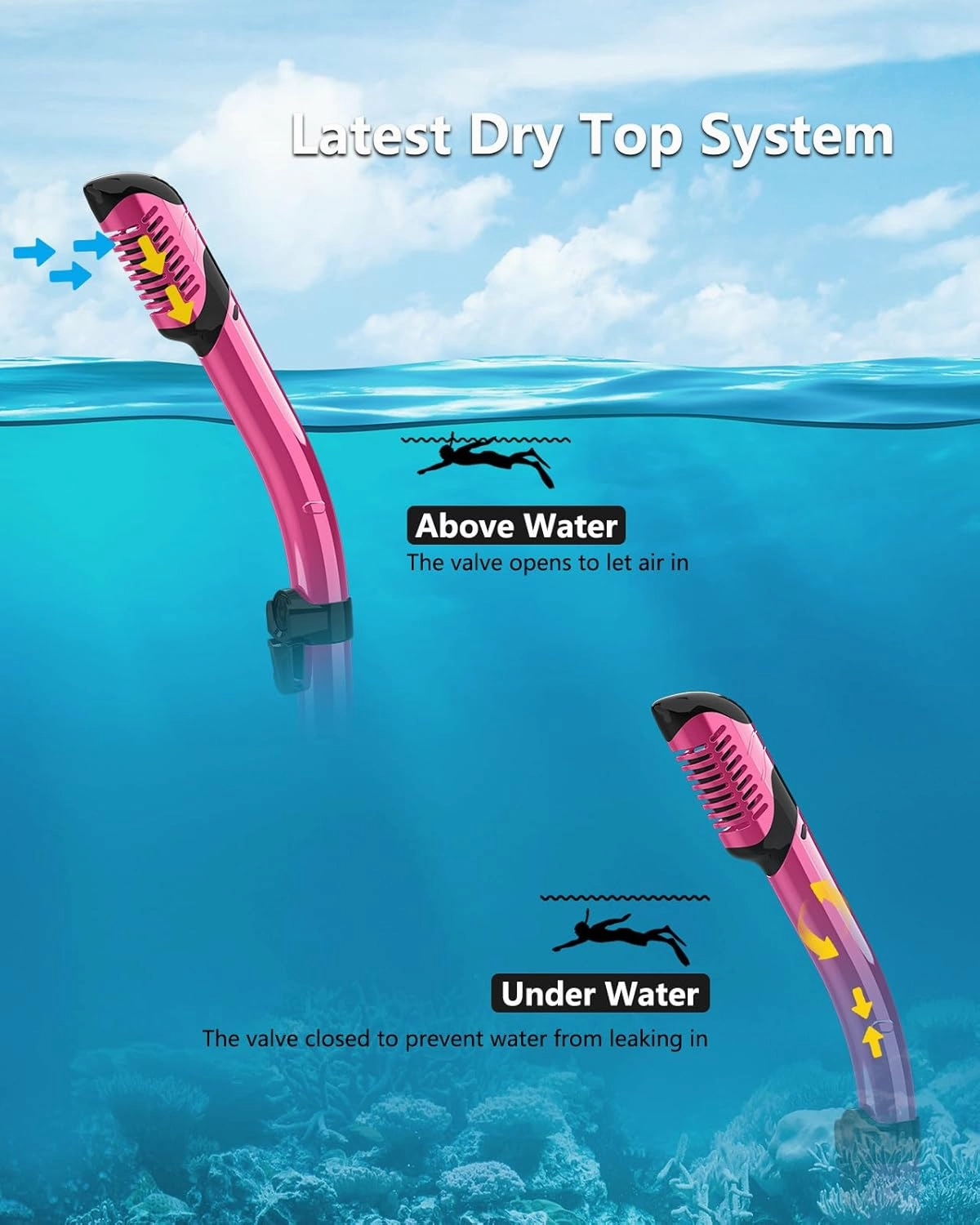 Bairuifu 2 Packs Dry Snorkel Mask Set Snorkeling Gear for Adults Scuba Diving Mask Swimming Glasses Swim Dive Mask Nose Cover Free Diving