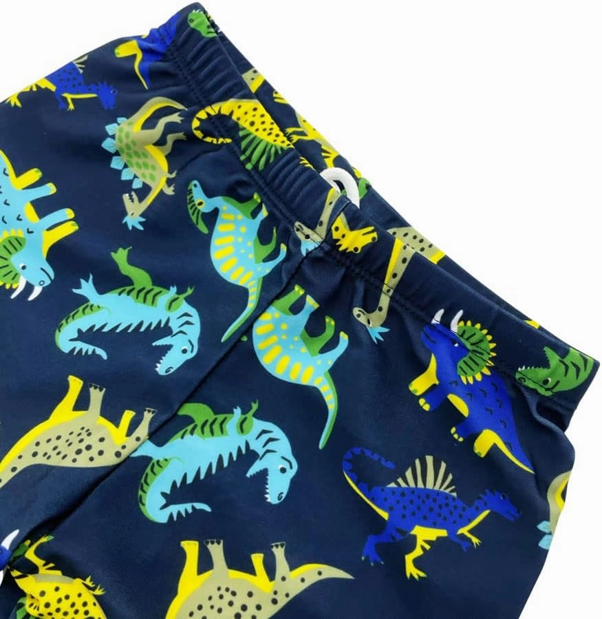 Boy Swim Set, 3 Pieces Set Swim Shirt   Swimming Shorts   Swimming Cap