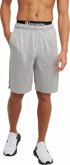 Champion Men's Sport Shorts, Moisture Wicking, Athletic Shorts, Gym Shorts (Reg. Or Big & Tall)