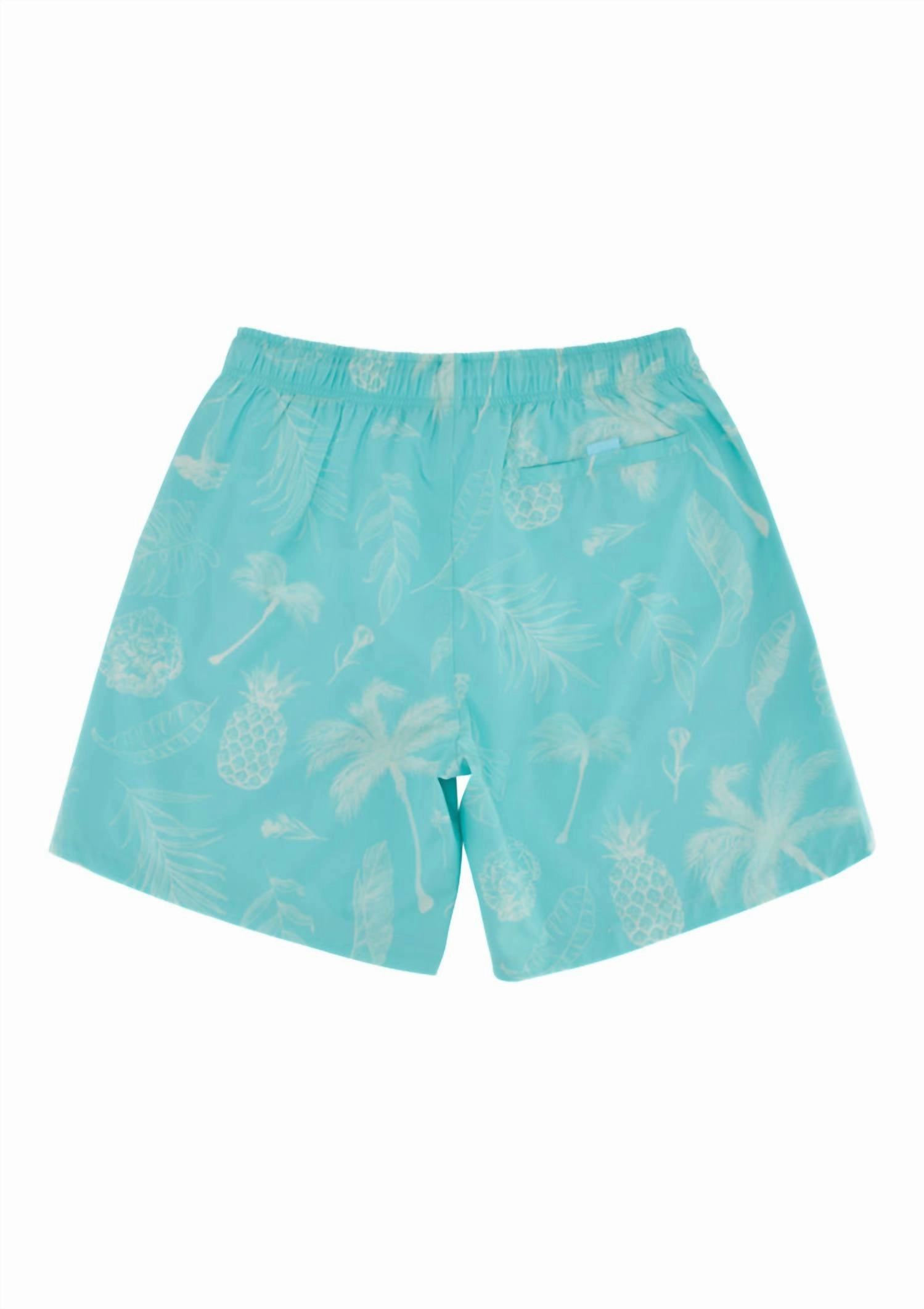 Classic Ropes Trunks In Aqua Tropics