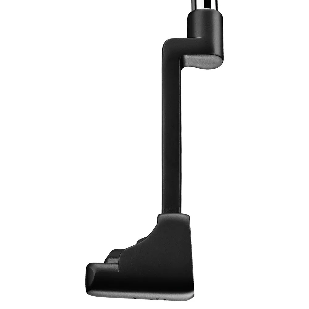 TaylorMade TP Black Putter - Juno #2, Golf elbow brace, Ping G430 hybrid, Cobra AeroJet driver