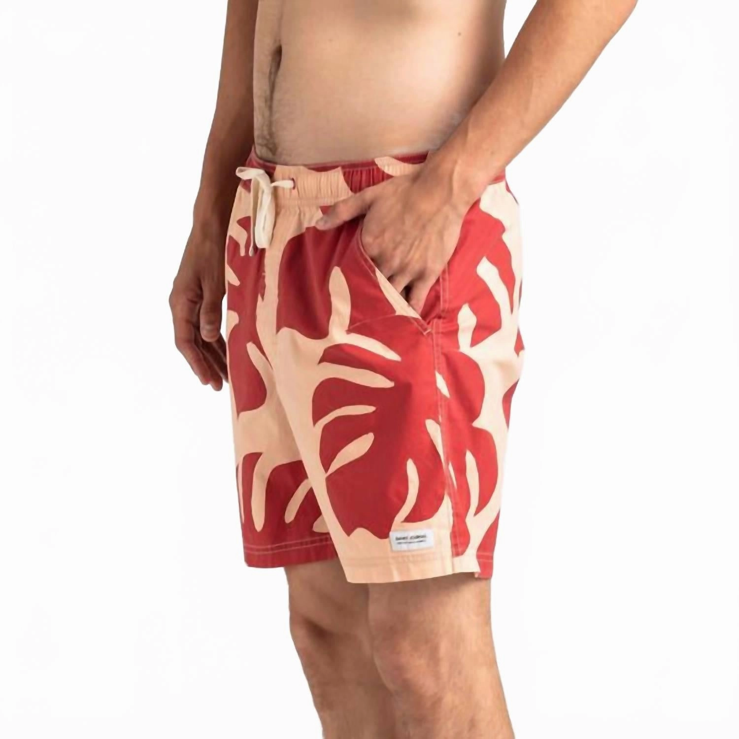 Fronds Boardshort In Print