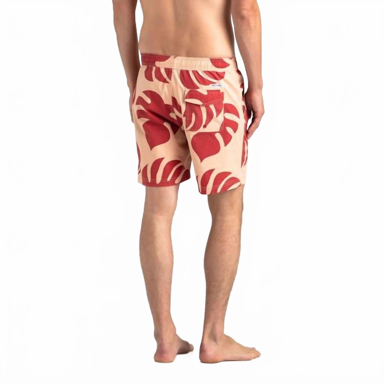 Fronds Boardshort In Print