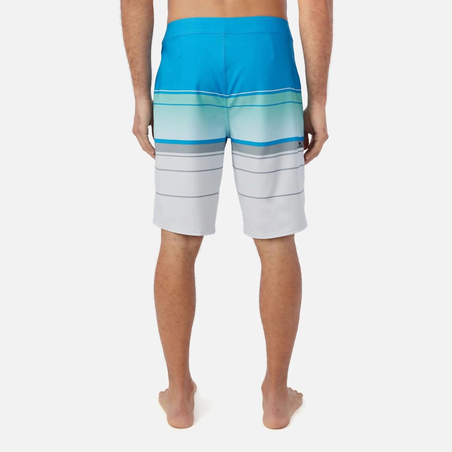 Men's Hyperfreak Heat Stripe 21 Board Shorts In Blue