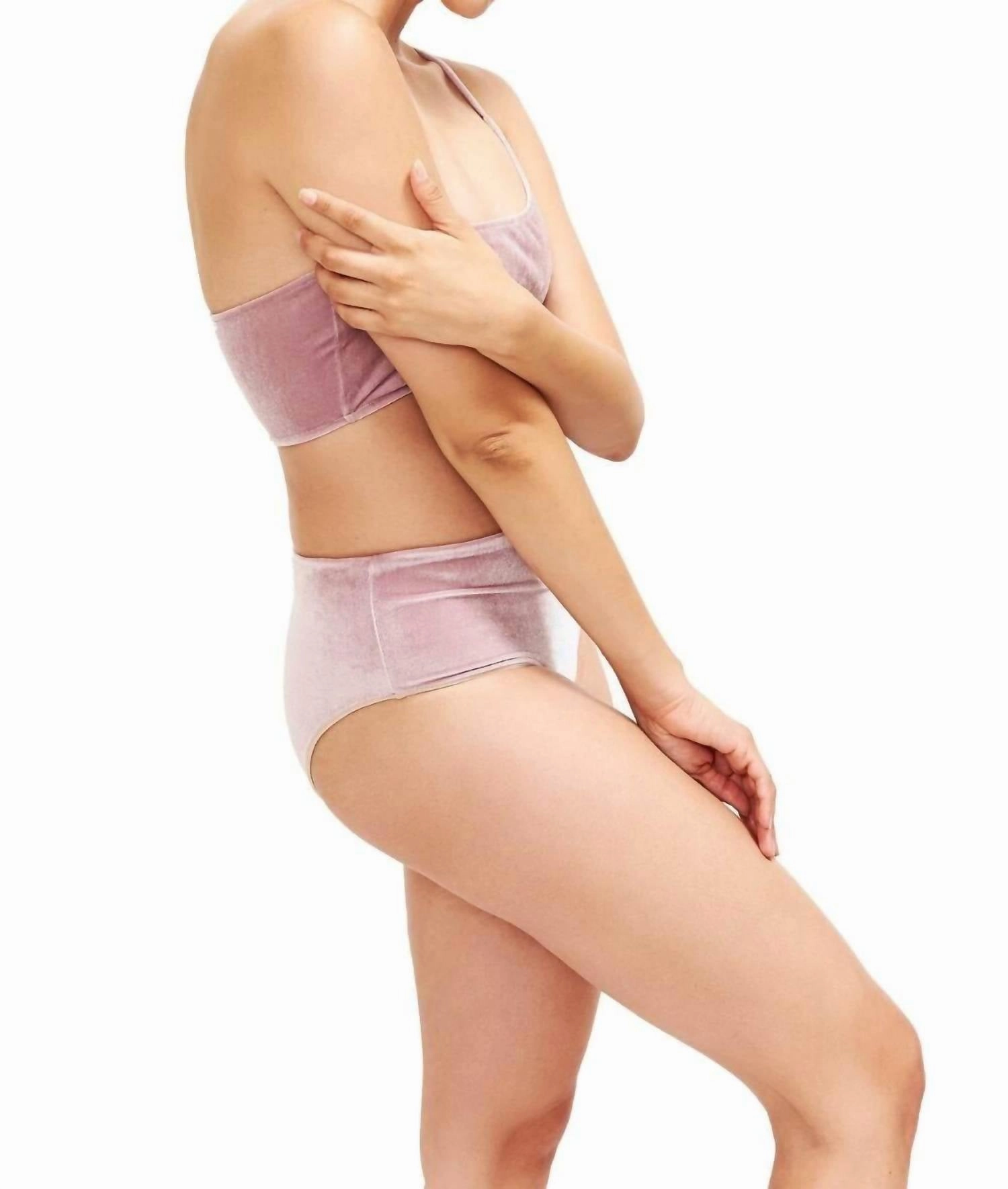 Serena Hipster Bikini Bottom In Blush Velvet