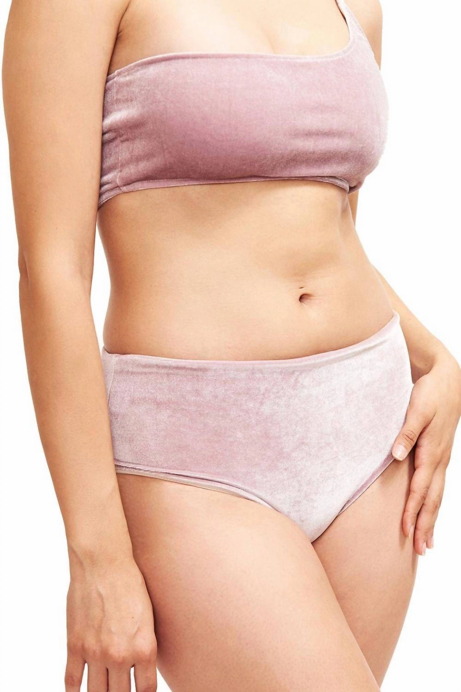 Serena Hipster Bikini Bottom In Blush Velvet
