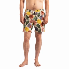 Soho Elastic Boardshort In Bone