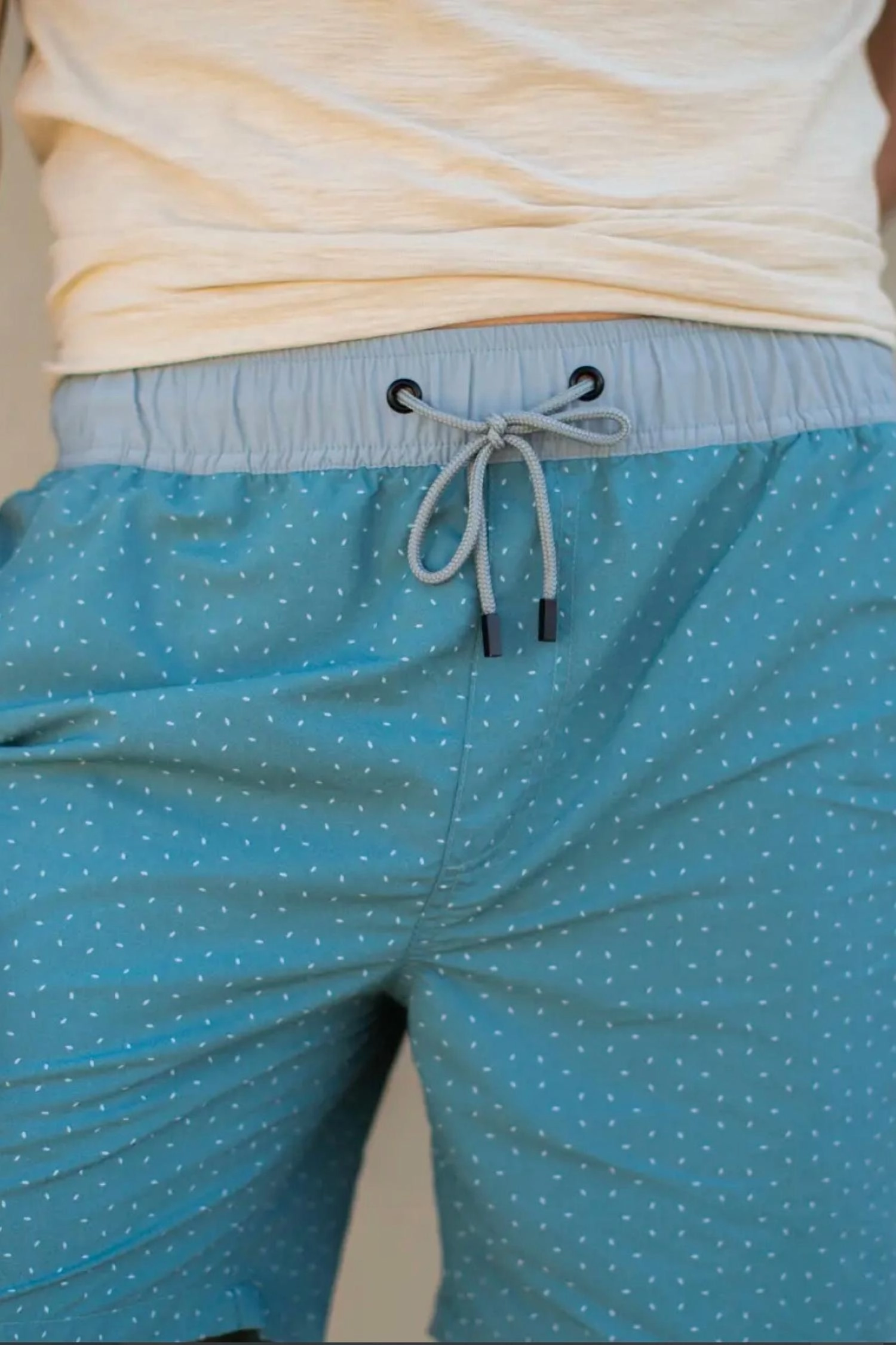Winston Printed Swim Trunks In Blue