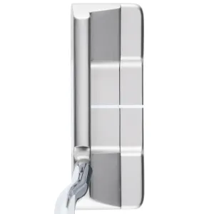 Worth the Hype Odyssey Ai-One Silver Putter - Double Wide Dont Miss, Golf shoe travel bag, Golf putter for beginners
