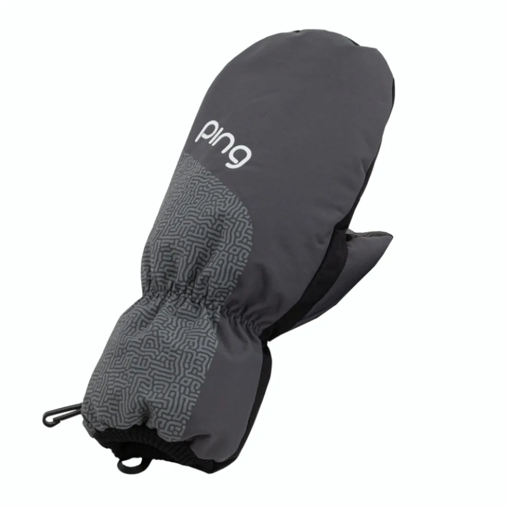 Ping Ladies Cart Mitts (Pair) - Grey/Silver, Titleist Pro V1 golf balls, Eco-friendly golf tees, Callaway golf set